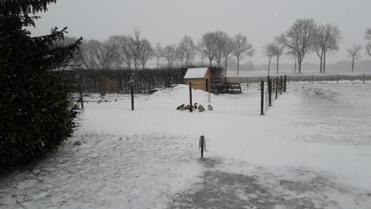 Bed and Breakfast 't Rond Bargie Exloo Exterior foto